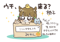 ウチ、来る?椅子