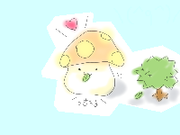 きのこっこ