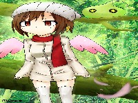 いつも緑の森