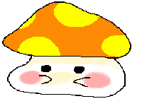 モデル募